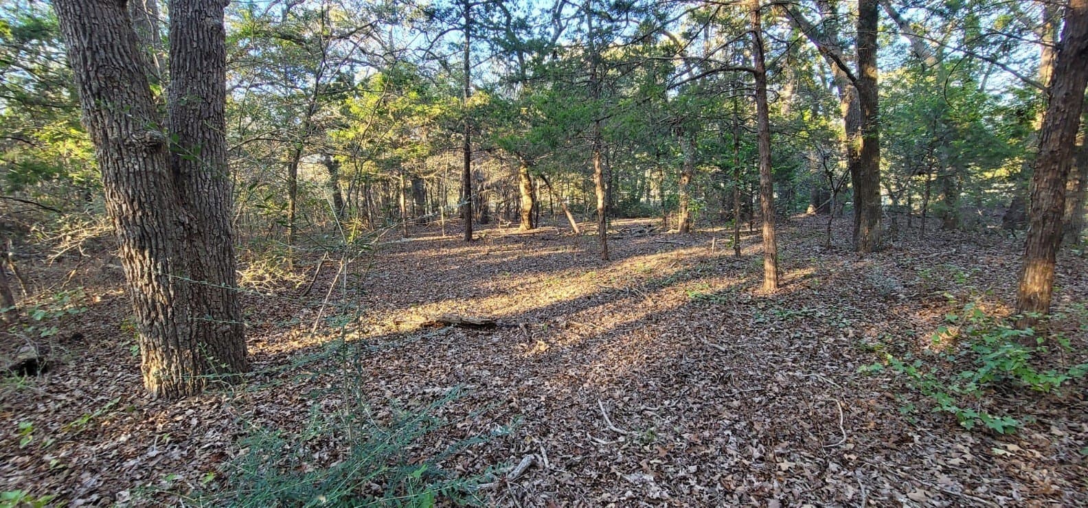 5.03 acres in Cooke County - photo 11