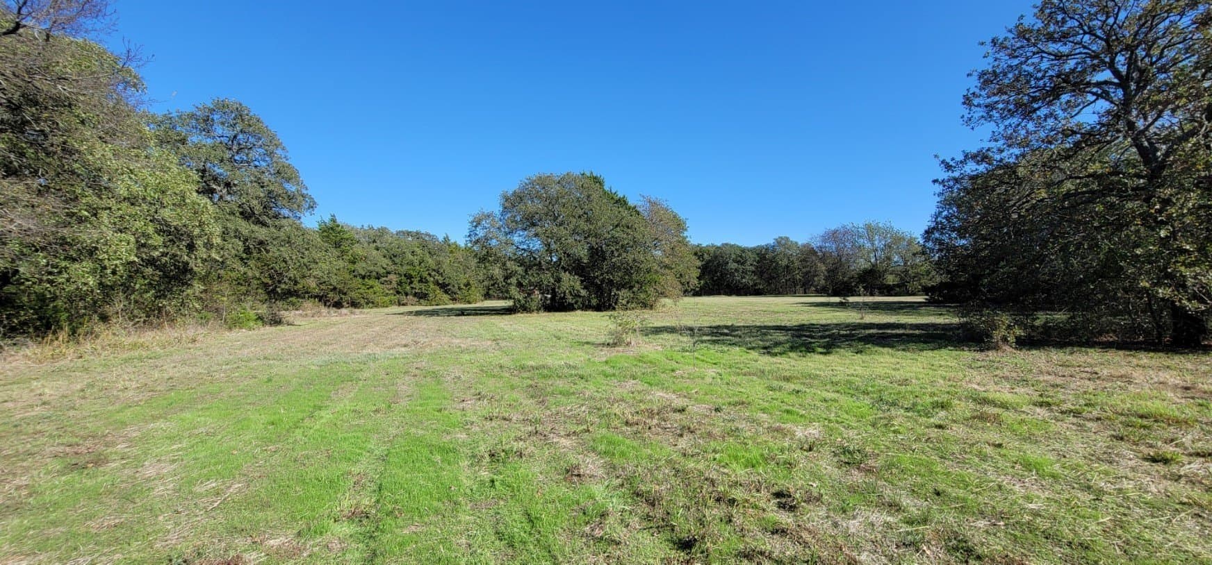 5.03 acres in Cooke County - photo 9
