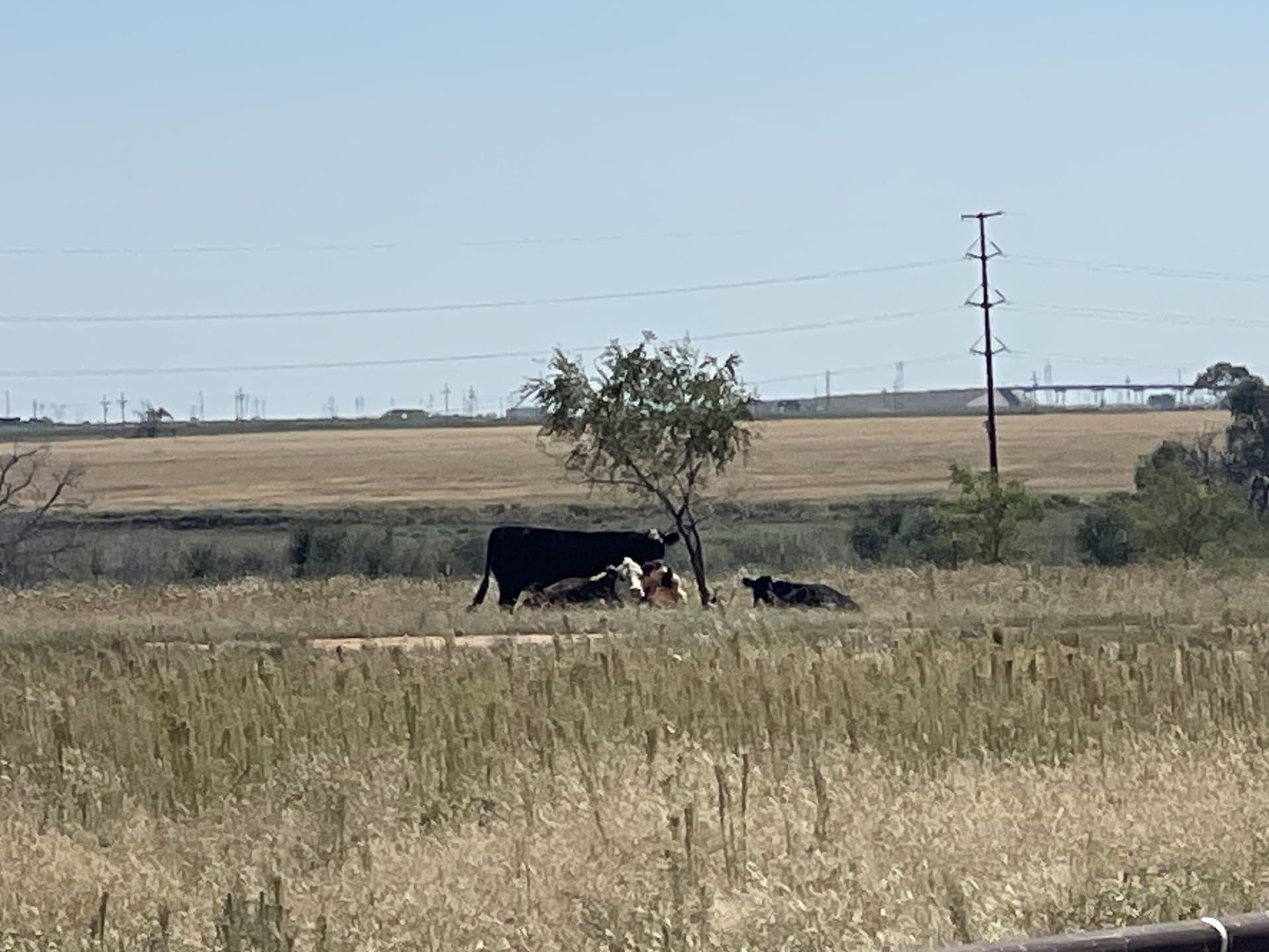 29.19 acres in Lubbock County - photo 31