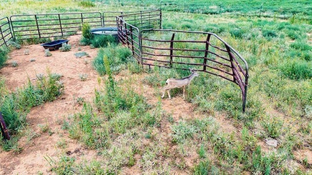 29.19 acres in Lubbock County - photo 11