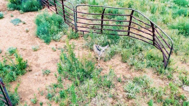29.19 acres in Lubbock County - photo 30