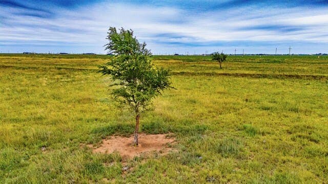 29.19 acres in Lubbock County - photo 10
