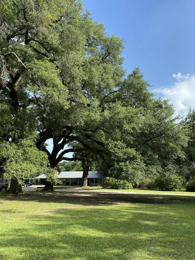 25 acres in Texas County gallery image 2