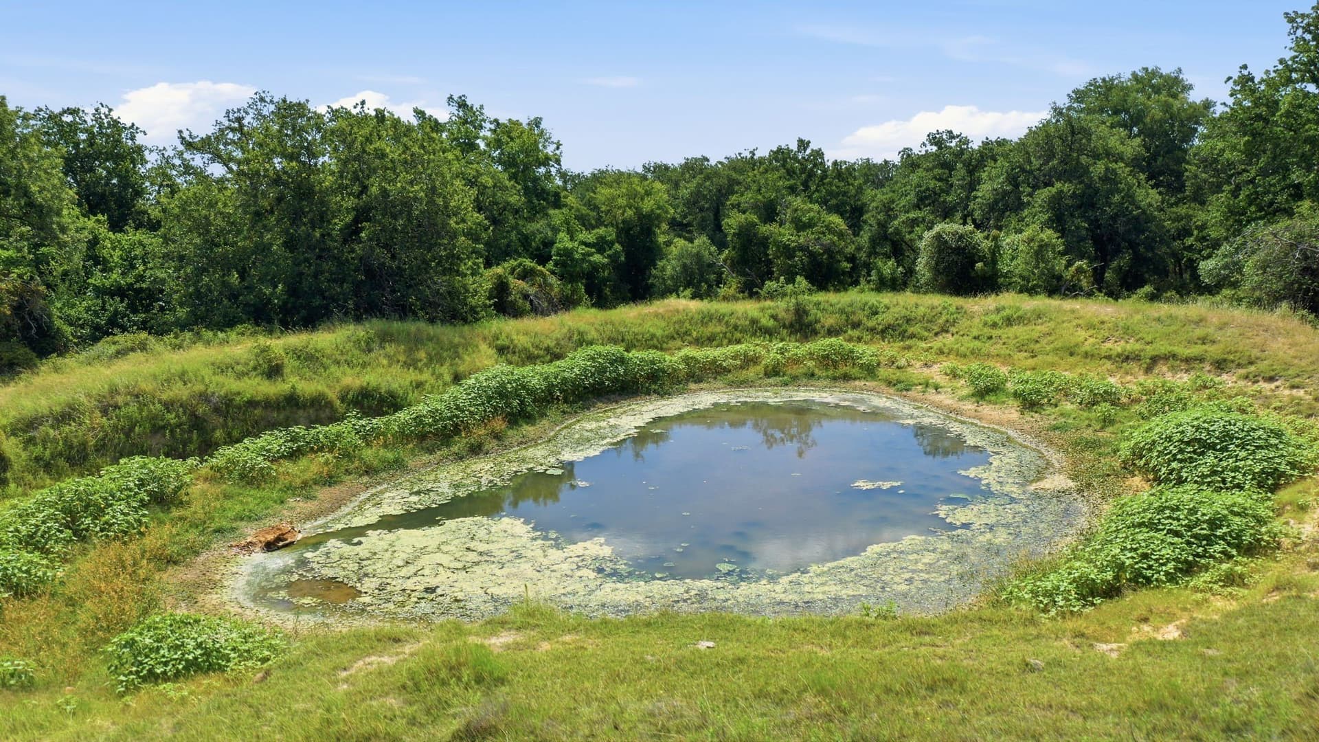 12 acres in Erath County - photo 18