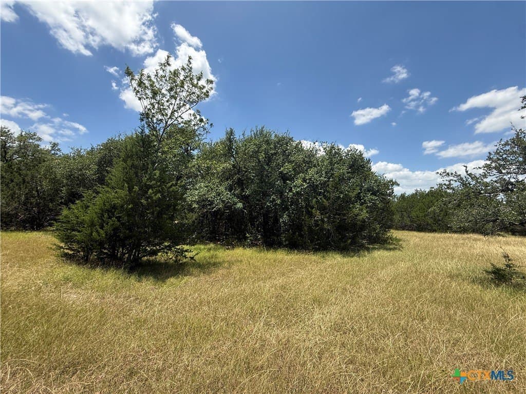 3.26 acres in Bell County gallery image 3
