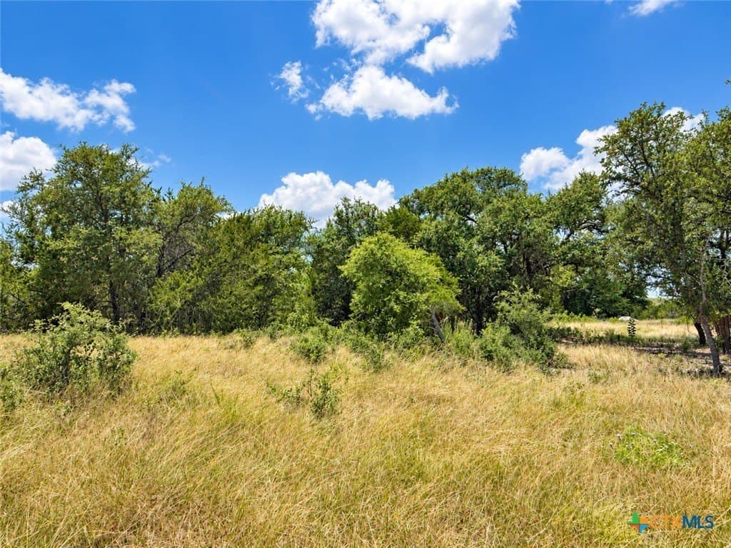 3.26 acres in Bell County - photo 8