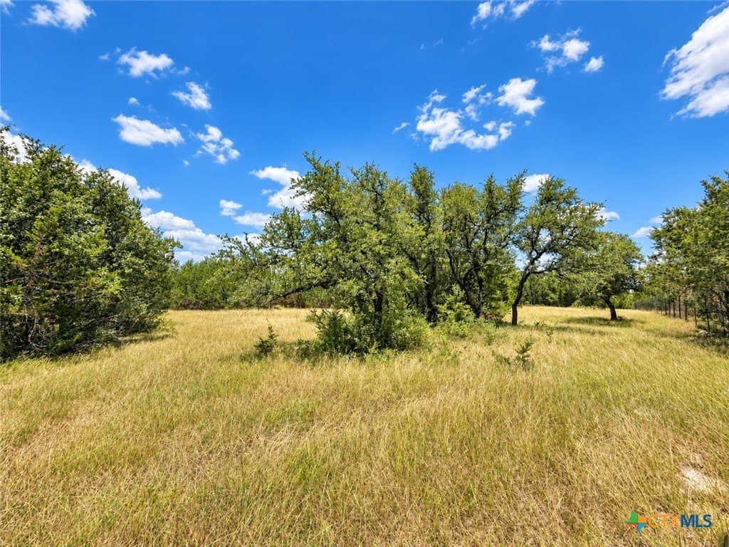 3.26 acres in Bell County - photo 6