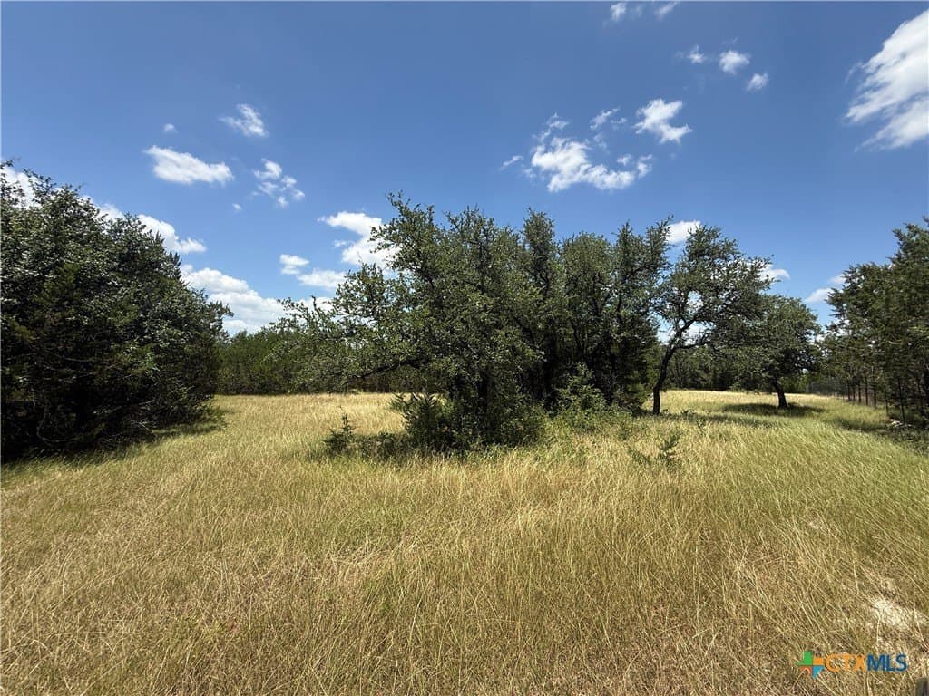 3.26 acres in Bell County gallery image 4