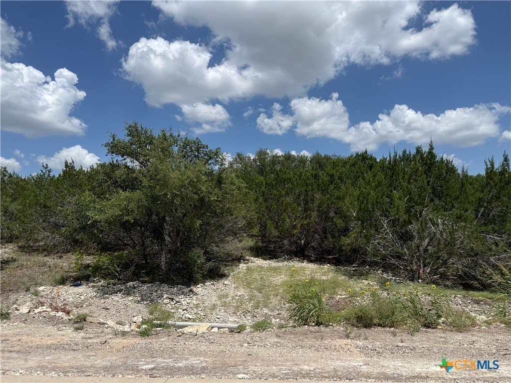 3.26 acres in Bell County - photo 7