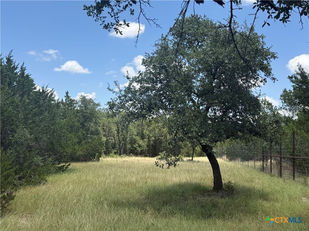 3.26 acres in Bell County - photo 6