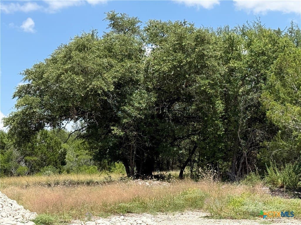 3.26 acres in Bell County gallery image 2