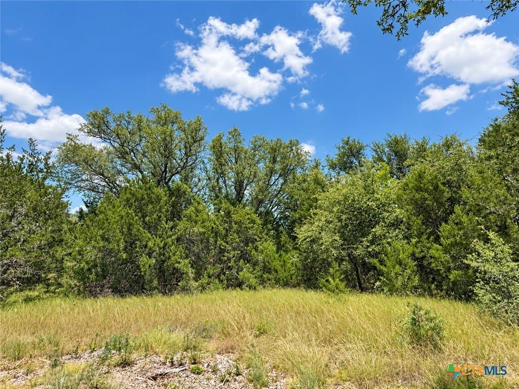 3.26 acres in Bell County - photo 3