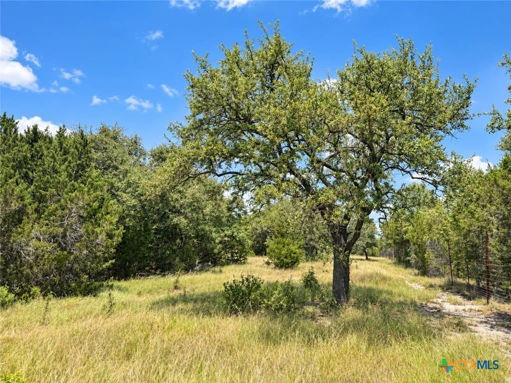 3.26 acres in Bell County - photo 2