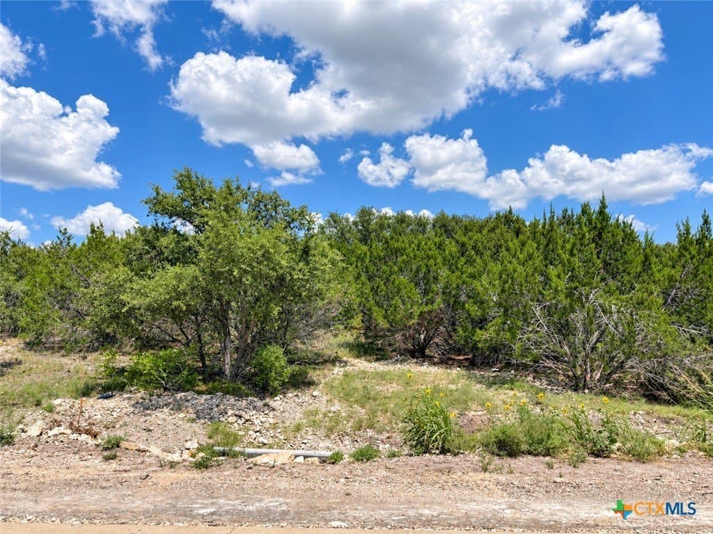 3.26 acres in Bell County - photo 9