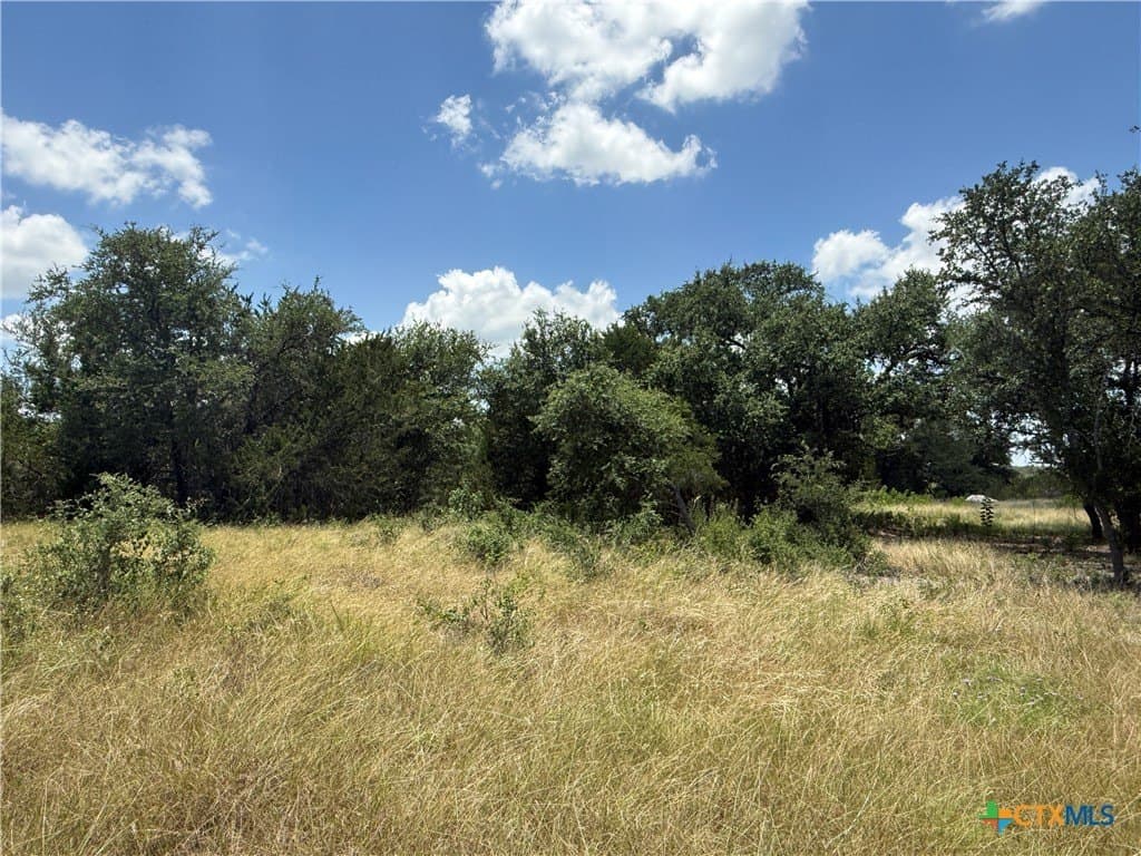3.26 acres in Bell County - photo 8