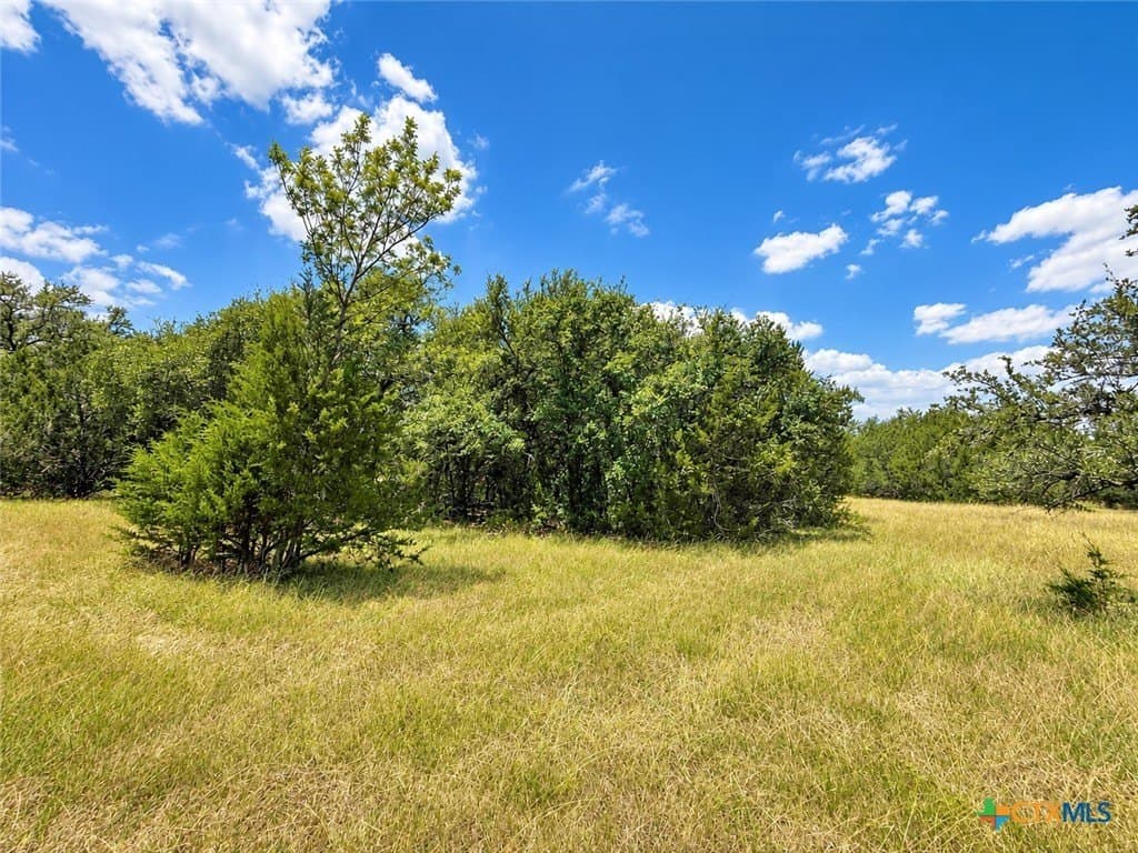 3.26 acres in Bell County - photo 7
