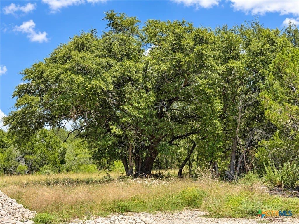 3.26 acres in Bell County - photo 4