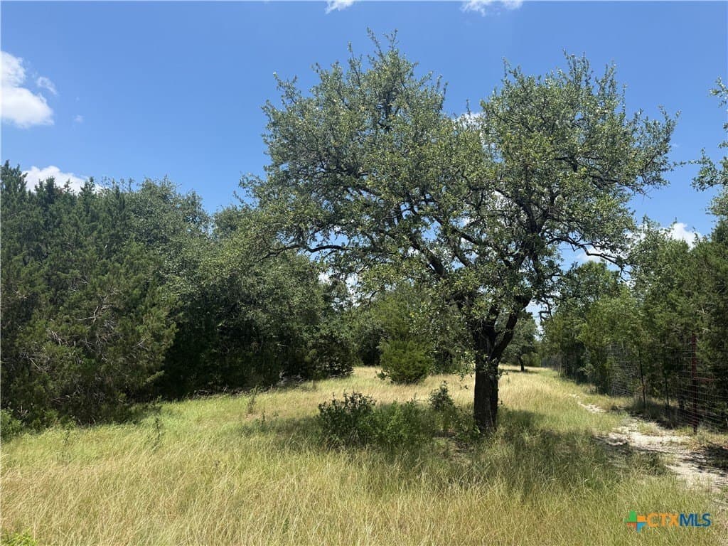 3.26 acres in Bell County featured view