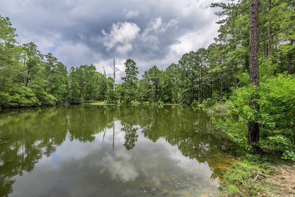 12.17 acres in Texas County - photo 14