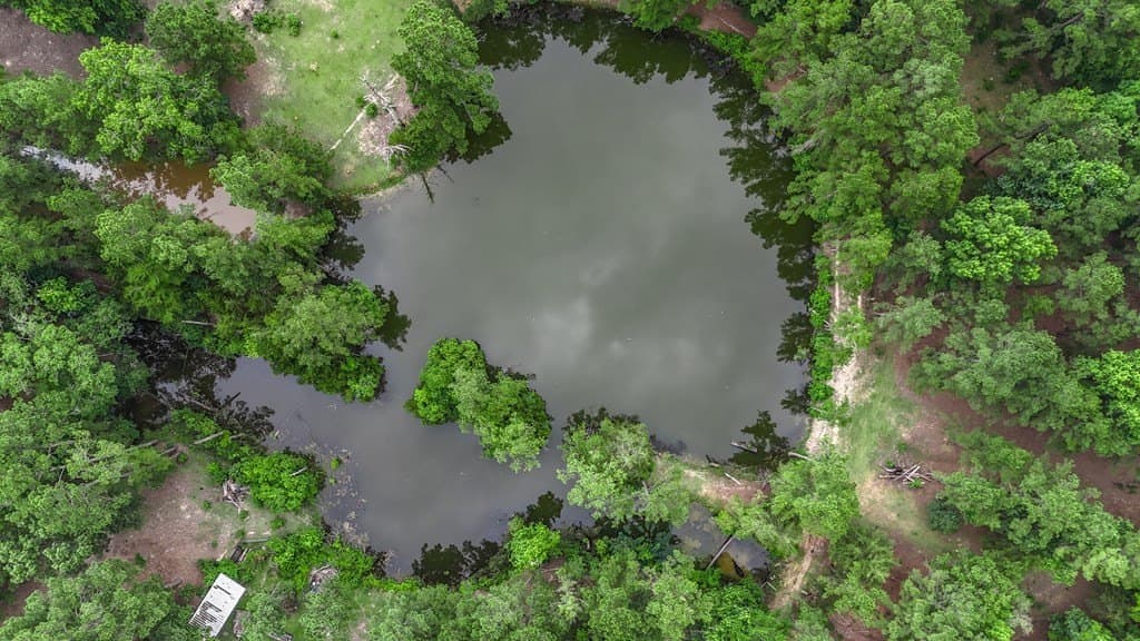 12.17 acres in Texas County - photo 13