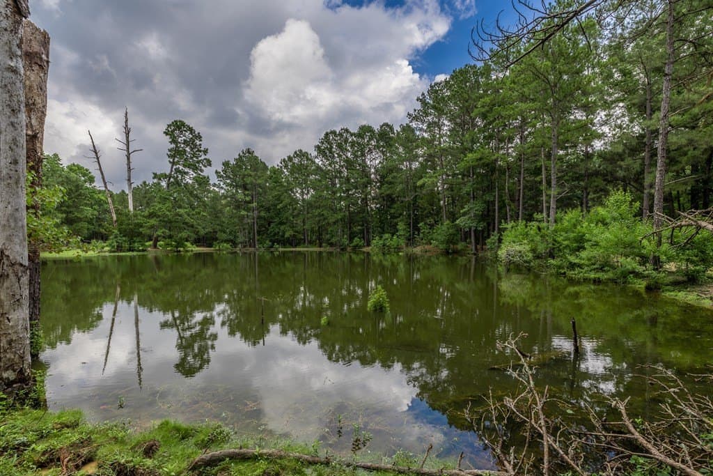 12.17 acres in Texas County - photo 15