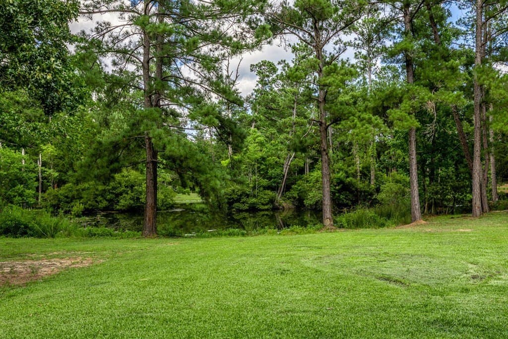 12.17 acres in Texas County - photo 63
