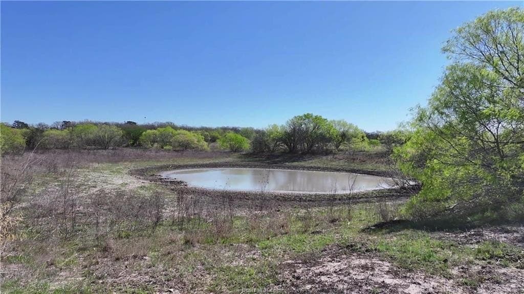 107 acres in Texas County - photo 17