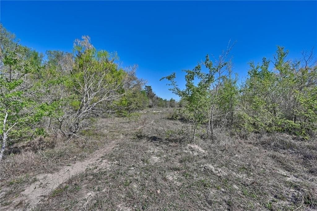 107 acres in Texas County - photo 15