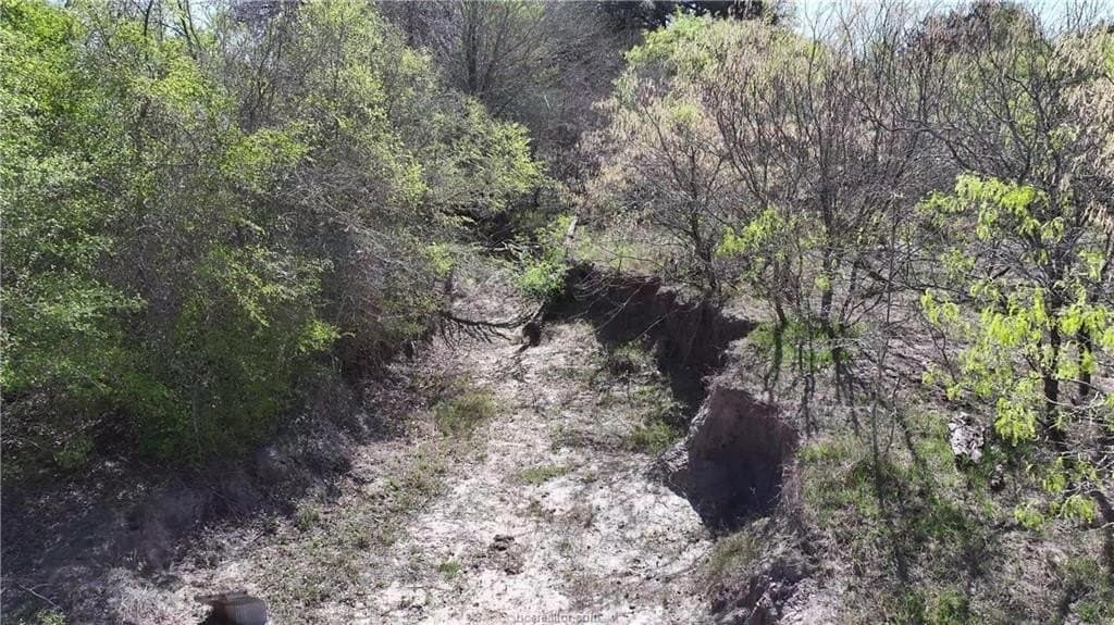 107 acres in Texas County - photo 11