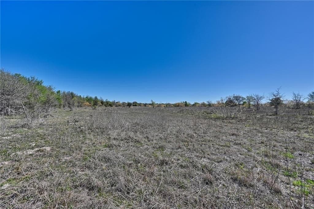 107 acres in Texas County - photo 21