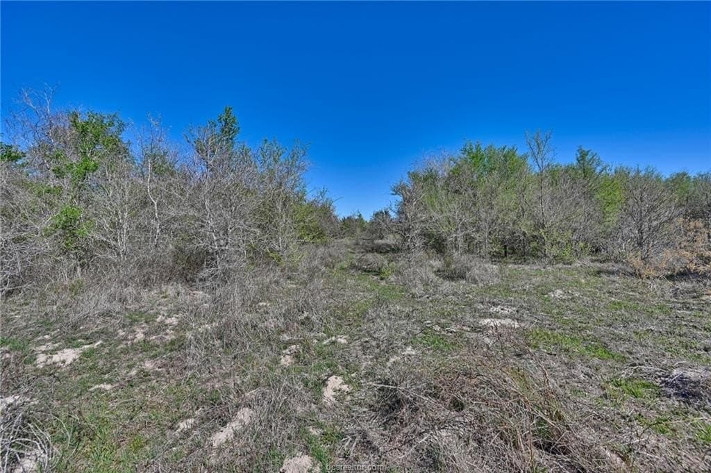 107 acres in Texas County - photo 13