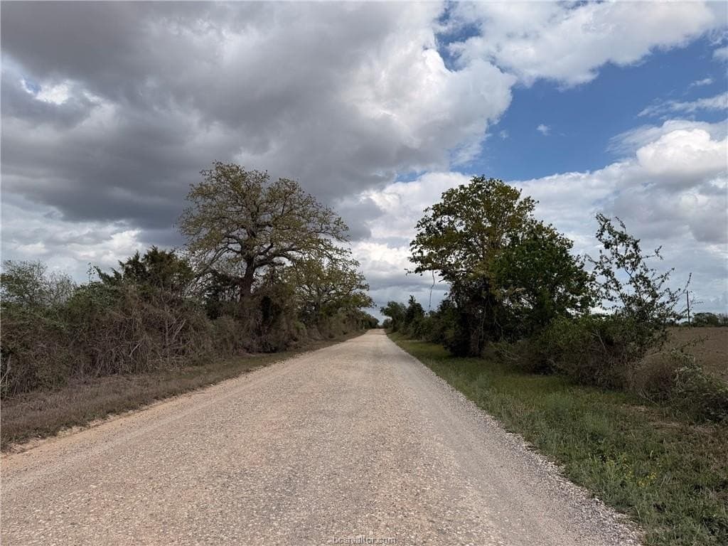 107 acres in Texas County - photo 37