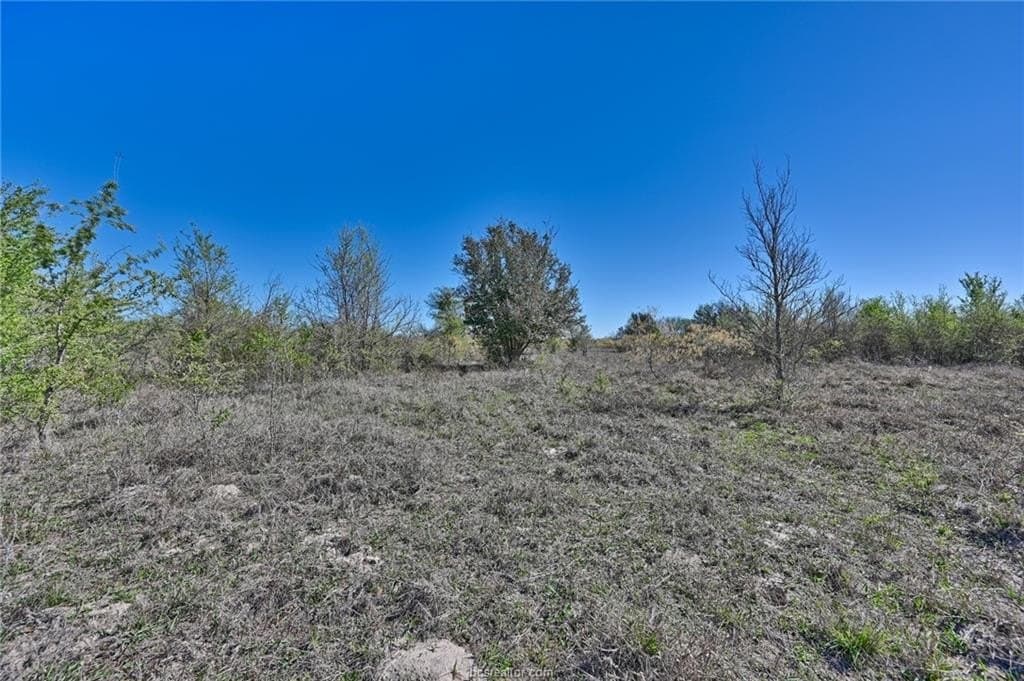 107 acres in Texas County - photo 27