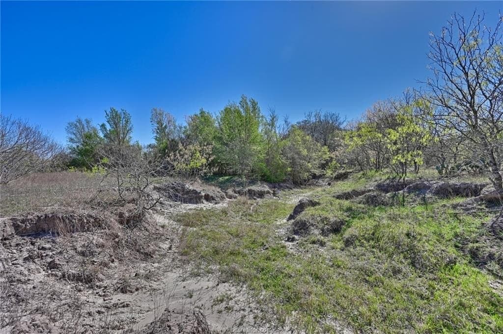 107 acres in Texas County - photo 8