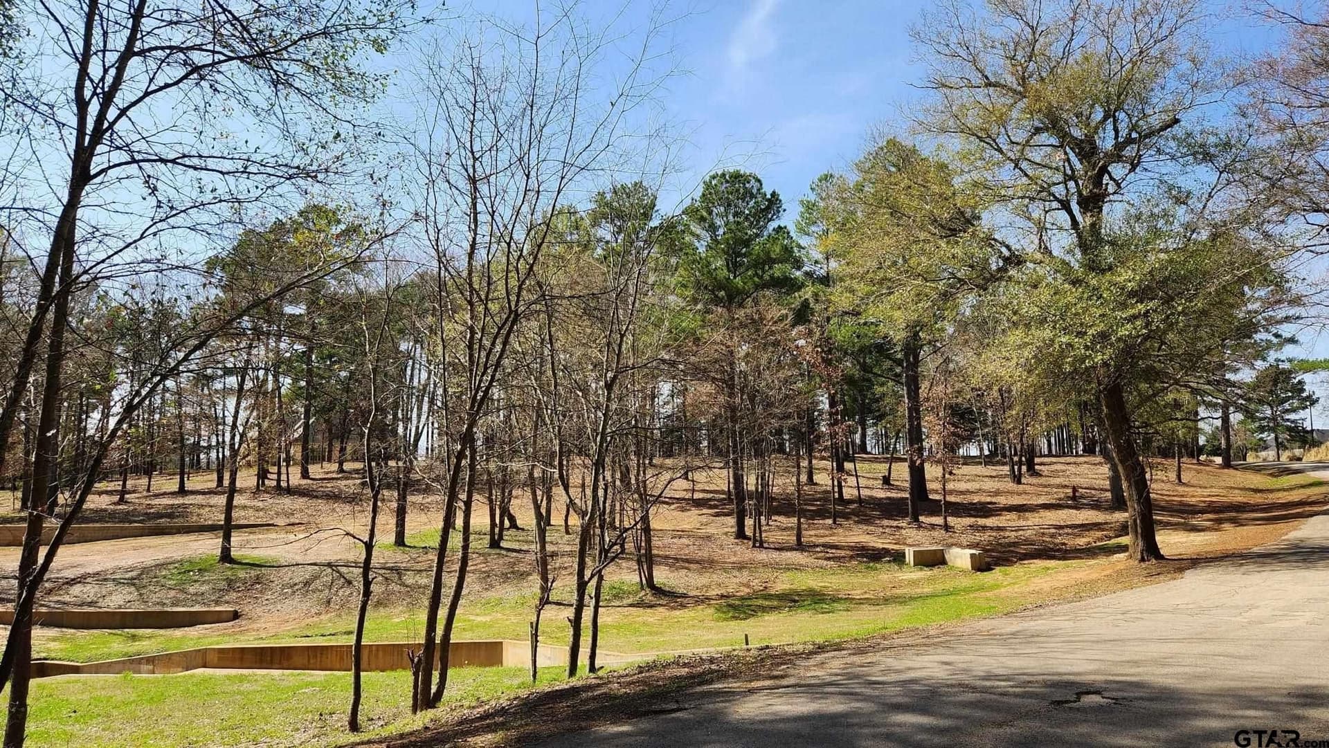 2.64 acres in Smith County gallery image 4