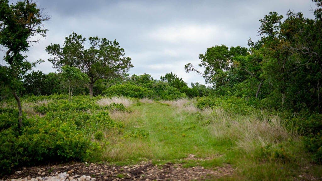 81 acres in Real County - photo 10
