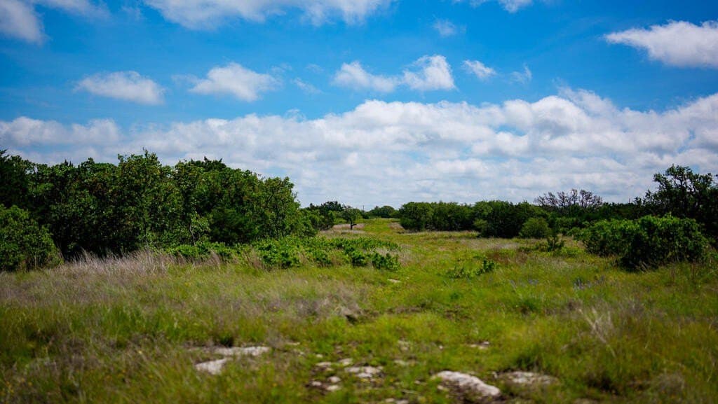 81 acres in Real County - photo 17