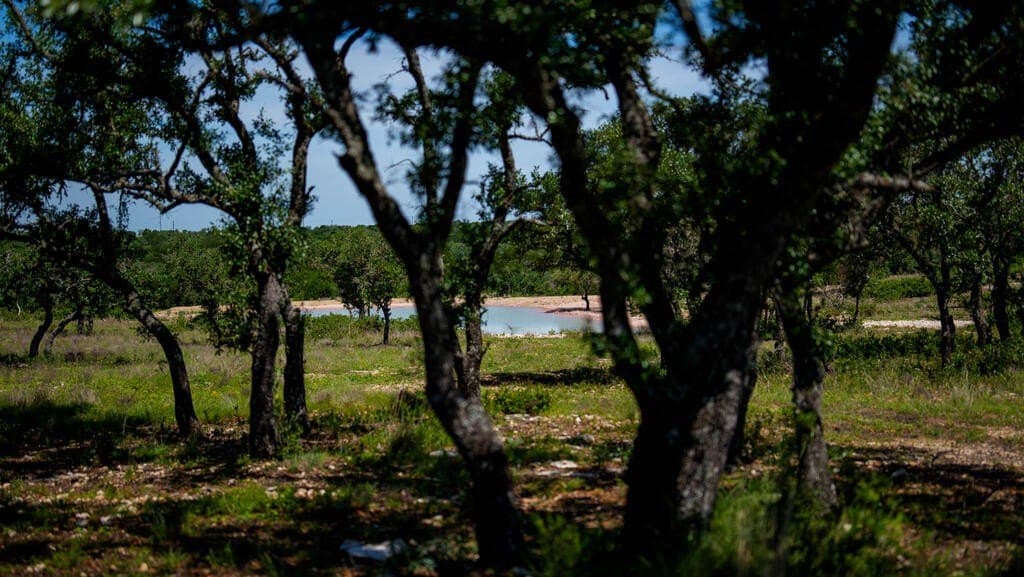 81 acres in Real County - photo 23
