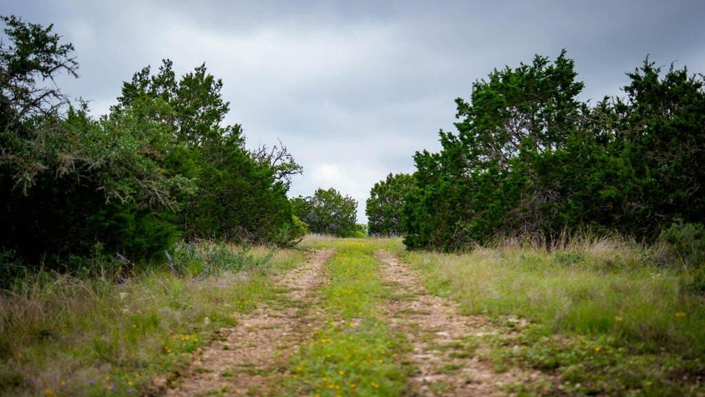 81 acres in Real County - photo 11