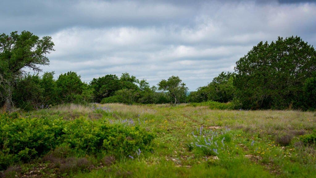 81 acres in Real County - photo 14