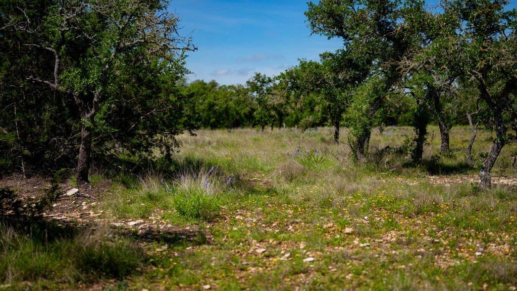 81 acres in Real County - photo 19