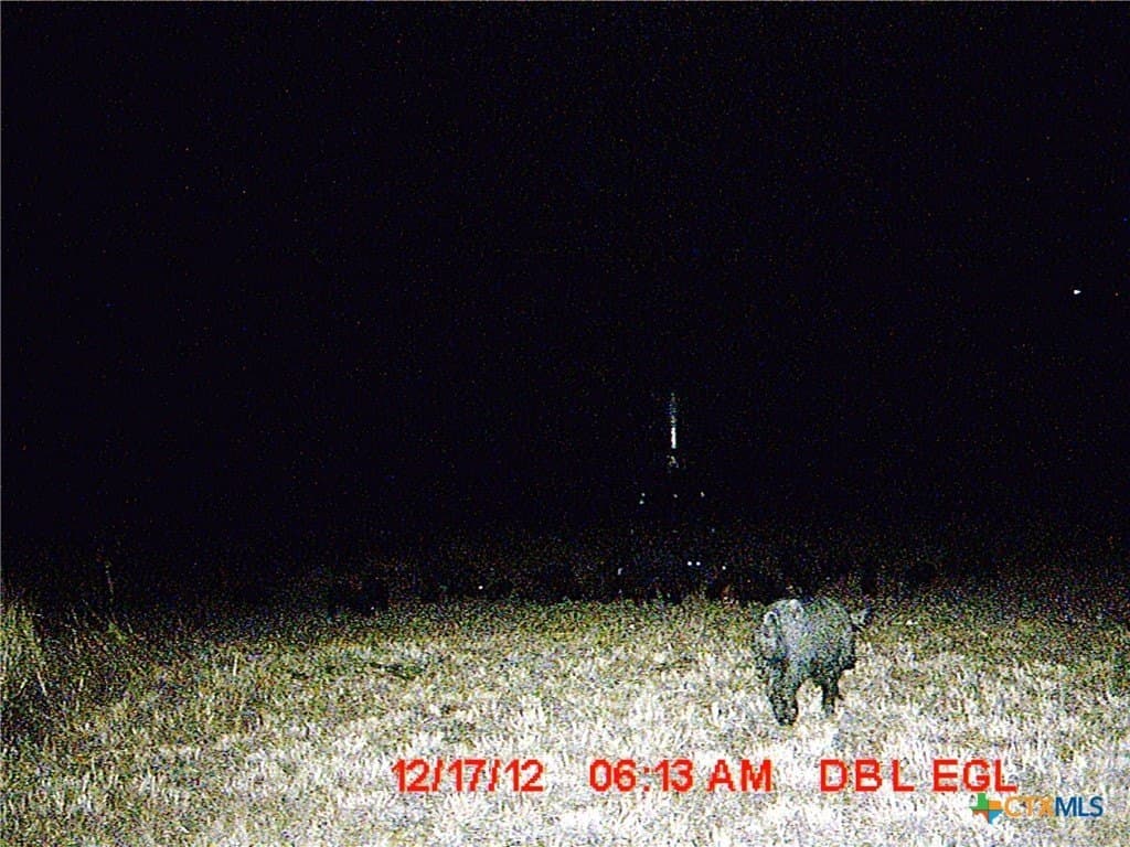 22.89 acres in Coryell County - photo 41