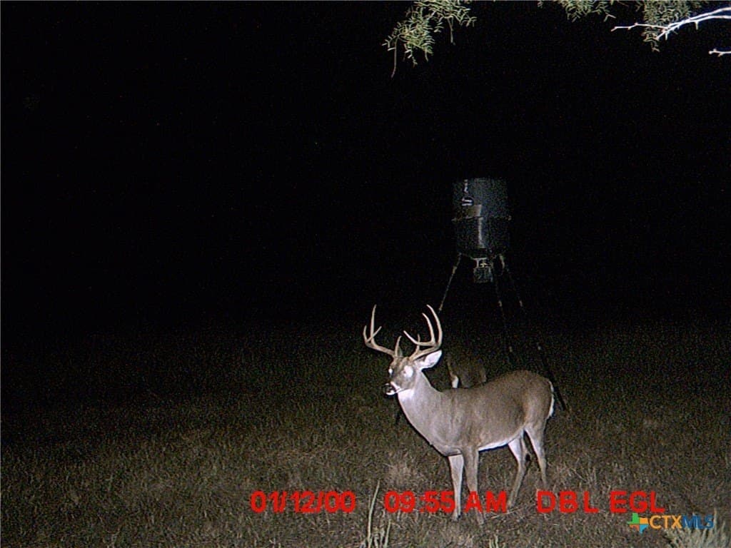22.89 acres in Coryell County - photo 40
