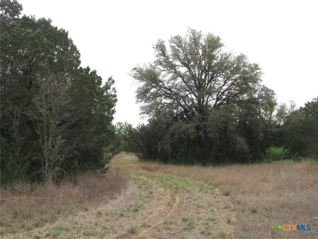 22.89 acres in Coryell County - photo 37