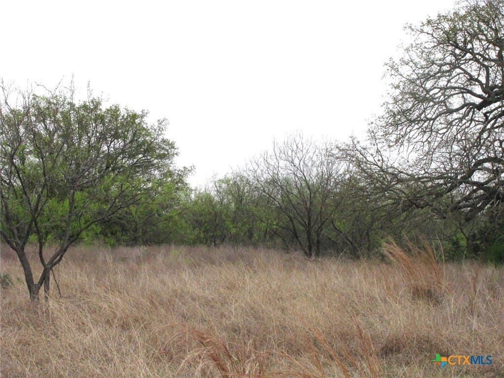 22.89 acres in Coryell County - photo 25