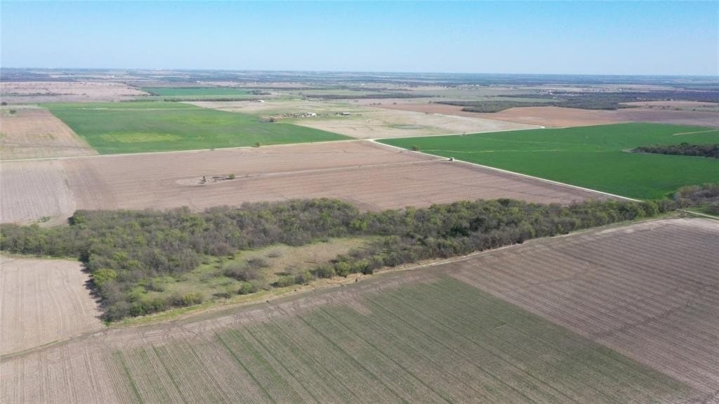 80.91 acres in Grayson County gallery image 2