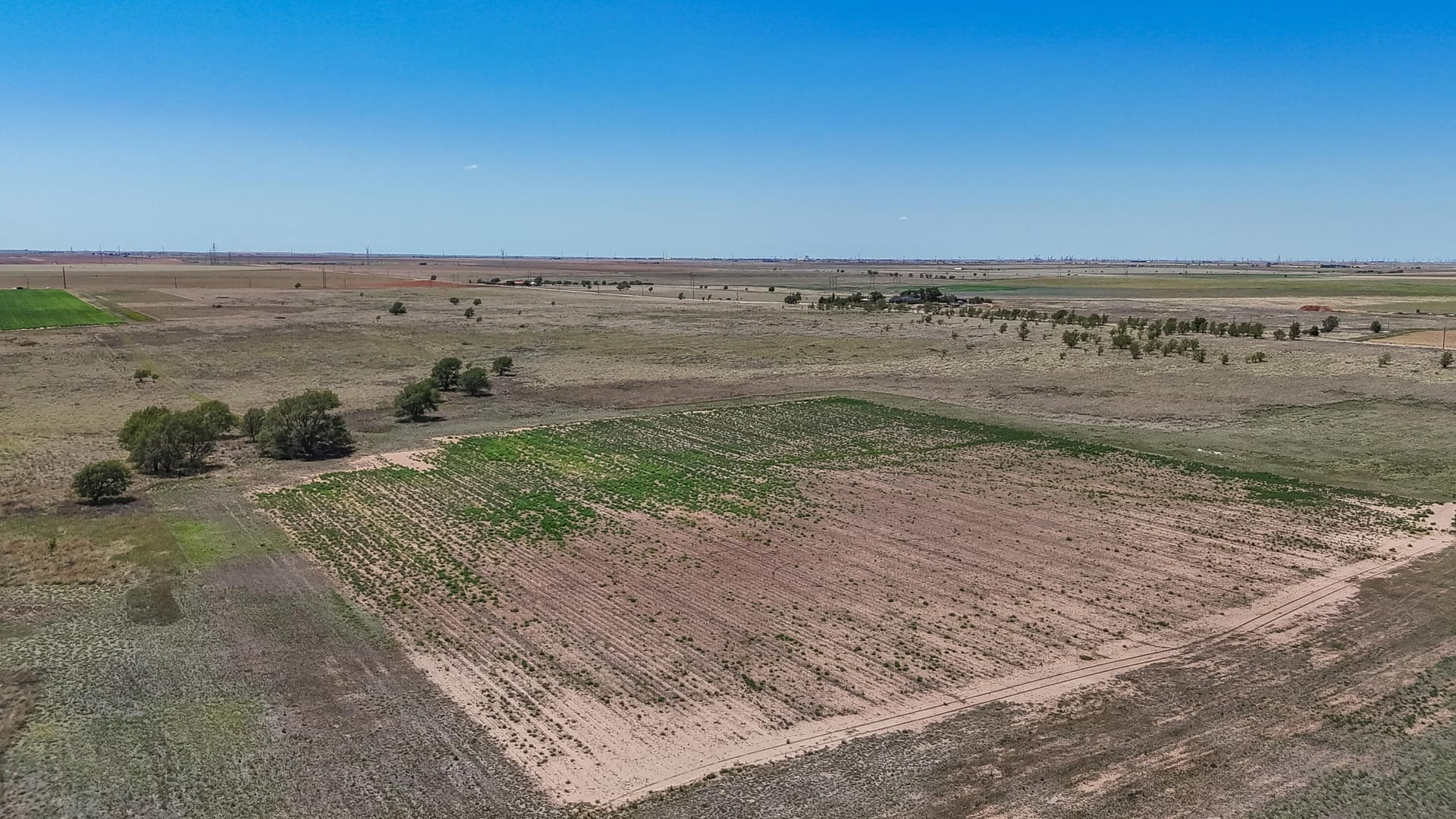 25.56 acres in Lubbock County - photo 12