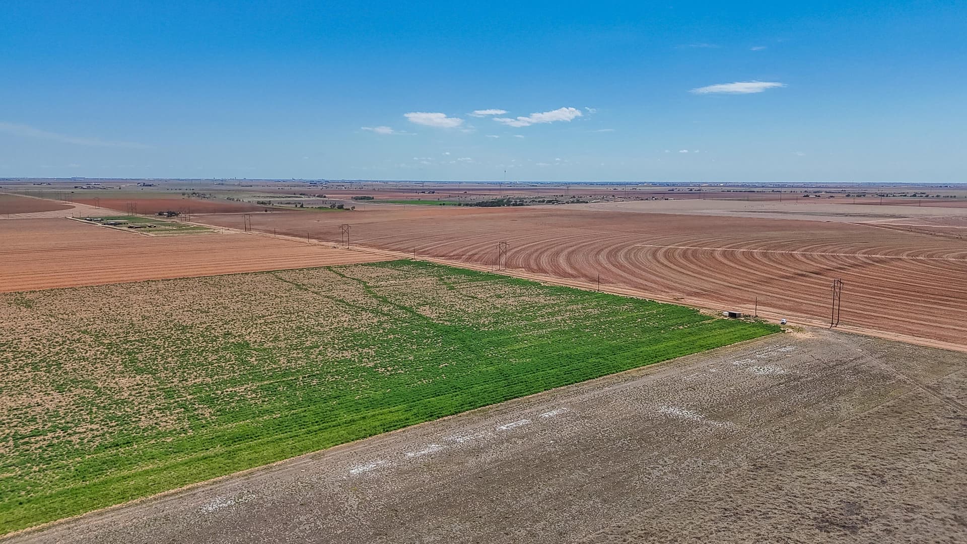 25.56 acres in Lubbock County - photo 4