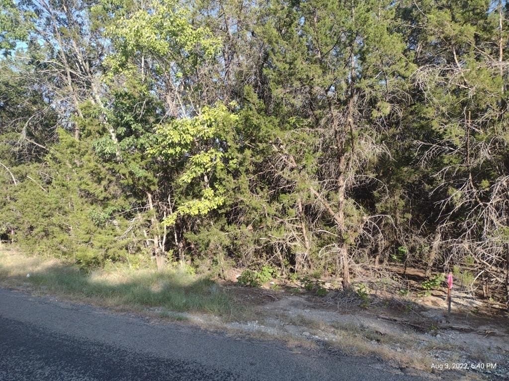 0.25 acres in Hood County gallery image 3