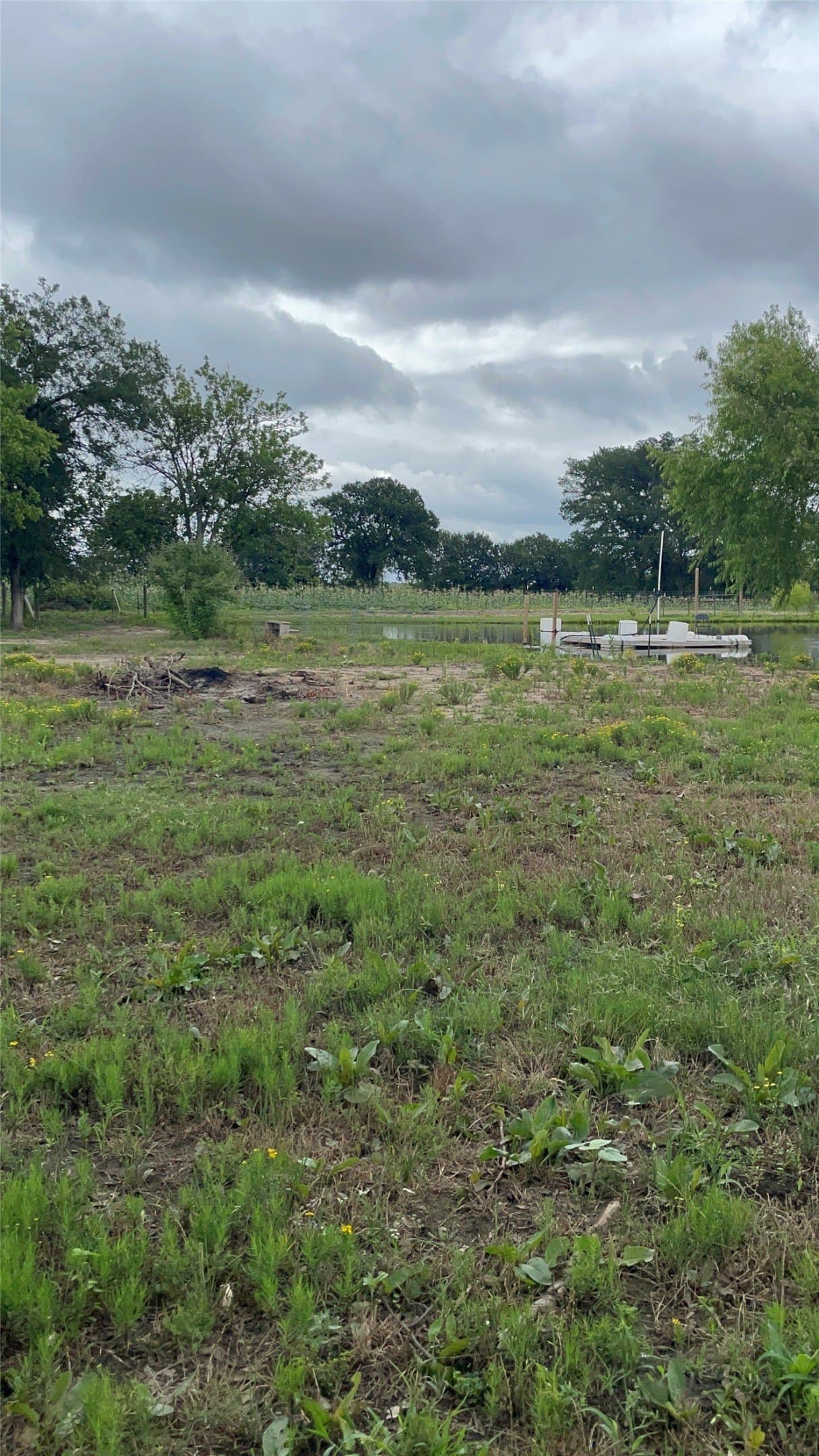 3 acres in Hunt County gallery image 3